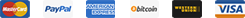 Conjunto de ícones representando diferentes métodos de pagamento online, incluindo cartões de crédito, carteiras digitais e pagamentos eletrônicos.