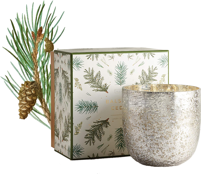 Vela aromática em recipiente de vidro com acabamento metálico texturizado, acompanhada de embalagem decorativa com estampas de pinheiros e ramo de pinheiro com pinhas.
