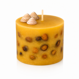 Vela Aromática de Conchas em formato cilíndrico, produzida em tom dourado intenso, com pequenas conchas naturais incorporadas ao corpo da peça e três conchas decorativas posicionadas sobre a superfície. Apresentada em fundo branco, destacando os detalhes artesanais, a textura suave da cera e sua inspiração no universo marinho.