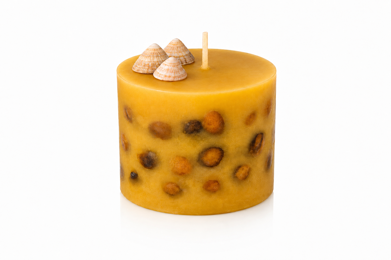 Vela Aromática de Conchas em formato cilíndrico, produzida em tom dourado intenso, com pequenas conchas naturais incorporadas ao corpo da peça e três conchas decorativas posicionadas sobre a superfície. Apresentada em fundo branco, destacando os detalhes artesanais, a textura suave da cera e sua inspiração no universo marinho.
